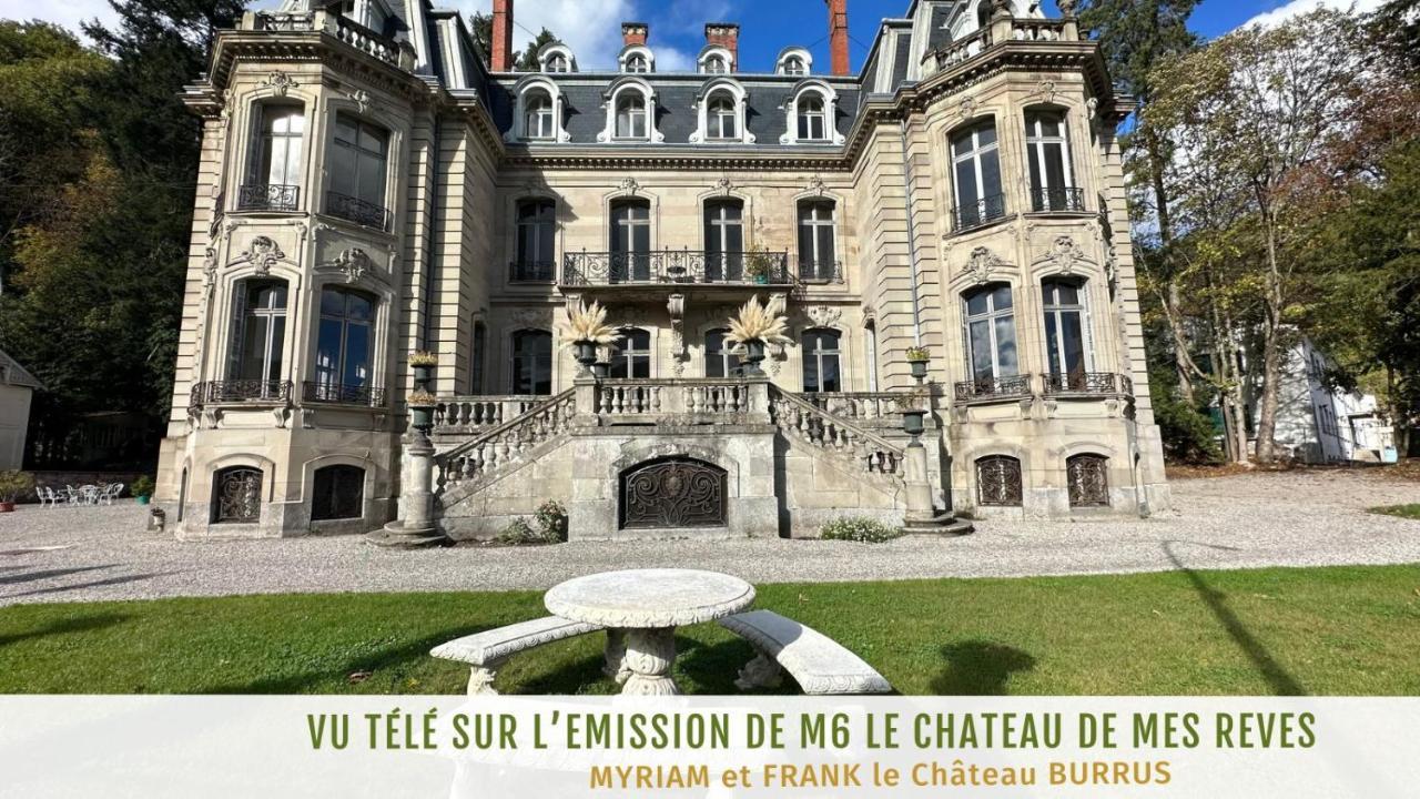 Au Coeur De La Verriere Du Chateau Burrus Sainte-Croix-aux-Mines Bagian luar foto